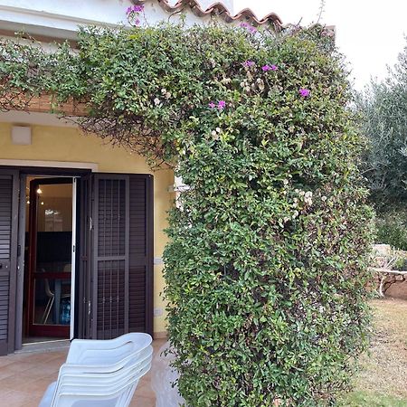 Tavolara Paradise Home Porto San Paolo  Eksteriør bilde
