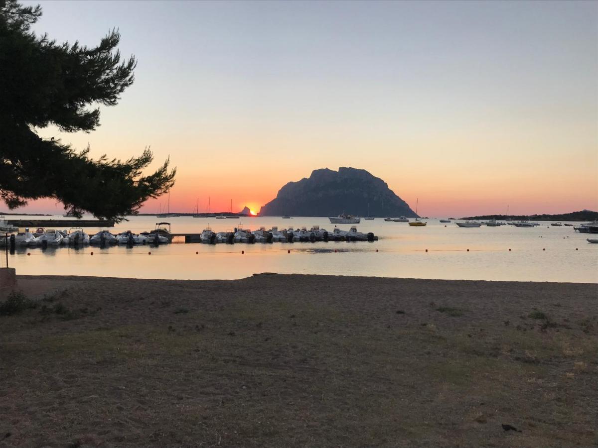 Tavolara Paradise Home Porto San Paolo  Eksteriør bilde
