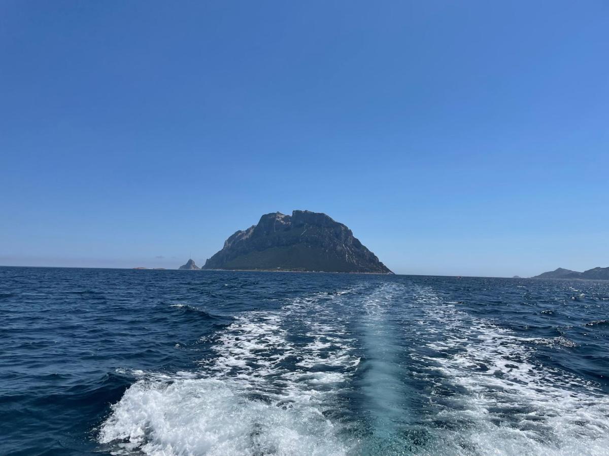 Tavolara Paradise Home Porto San Paolo  Eksteriør bilde