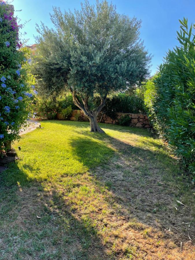 Tavolara Paradise Home Porto San Paolo  Eksteriør bilde