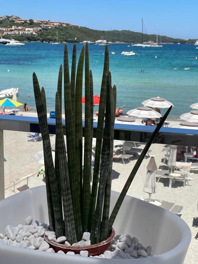 Tavolara Paradise Home Porto San Paolo  Eksteriør bilde