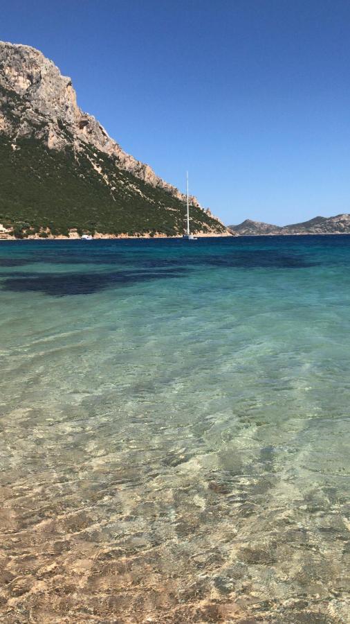 Tavolara Paradise Home Porto San Paolo  Eksteriør bilde