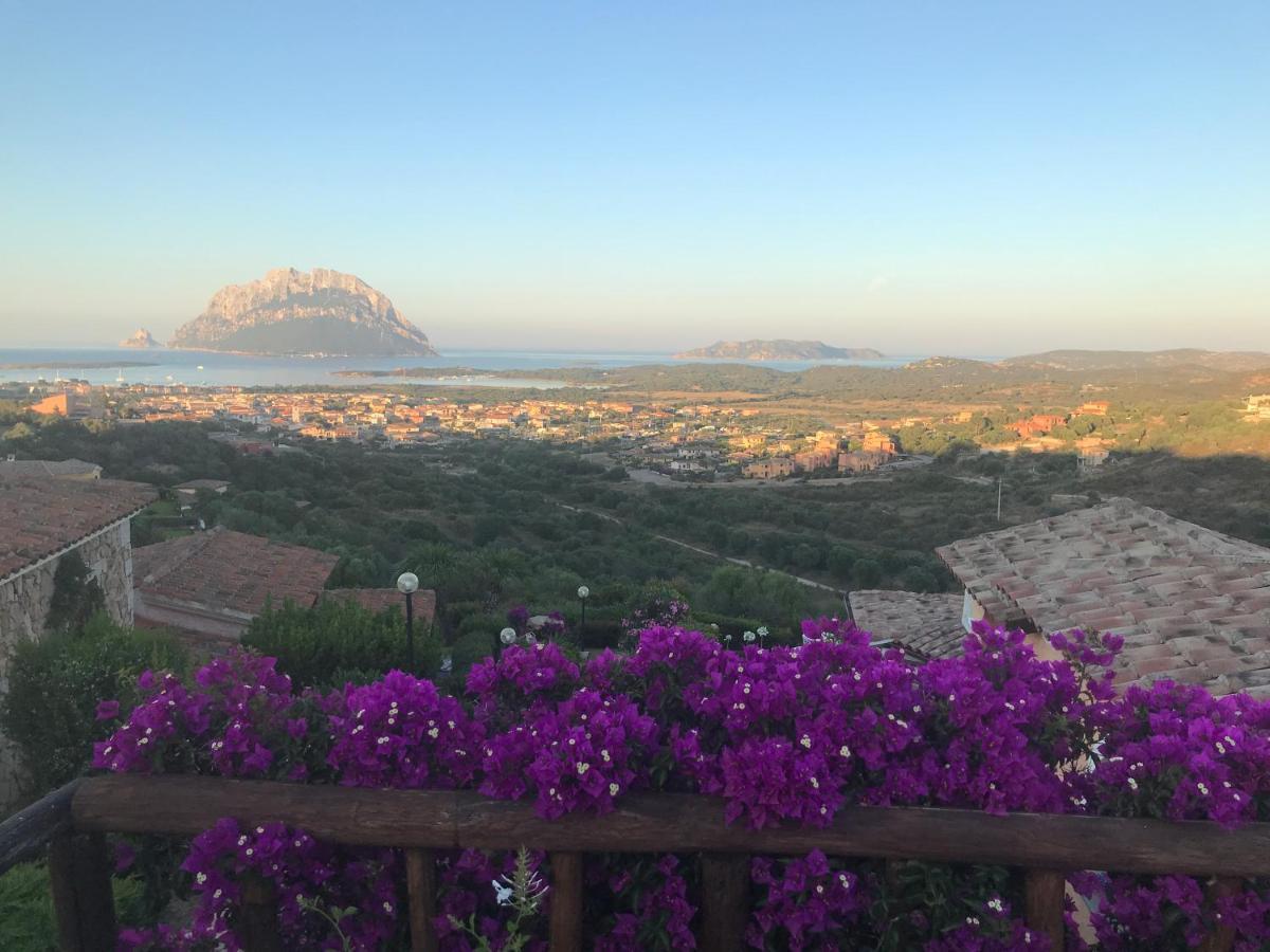 Tavolara Paradise Home Porto San Paolo  Eksteriør bilde