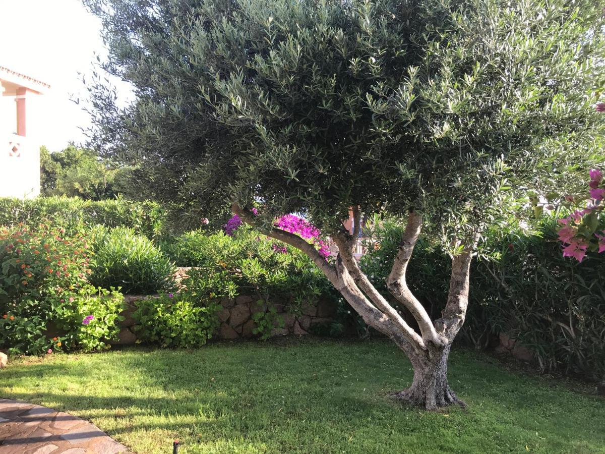 Tavolara Paradise Home Porto San Paolo  Eksteriør bilde